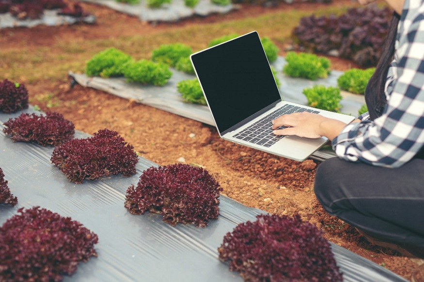 What Makes a Nursery ERP Different From General Business Software